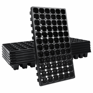 Plaque alvéolée – Image 1