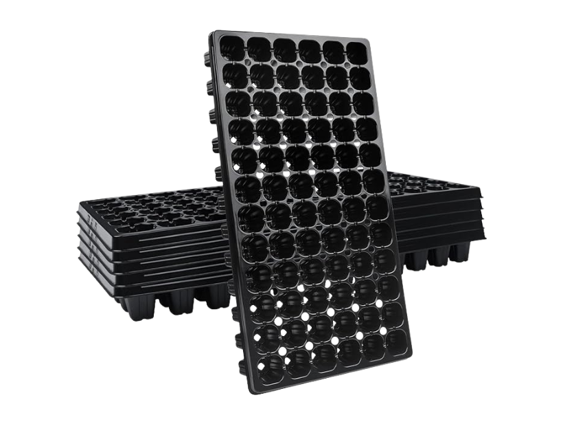 Design sans titre (38)