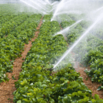 Design sans titre (58)