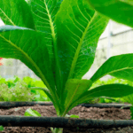 Design sans titre (60)